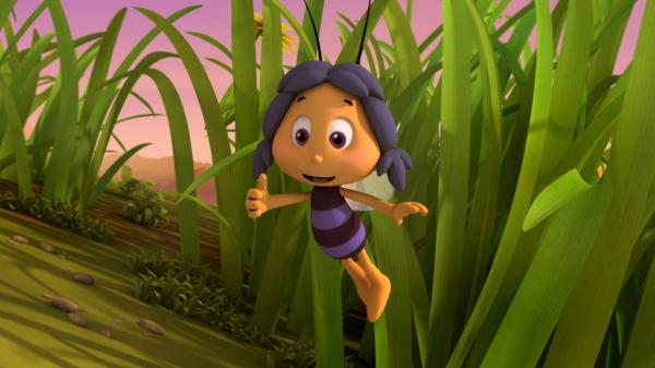 Bild 1 von 7: Wie findet die Wildbiene Wanda Majas Regenbogenball?