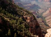 Amerikas Naturwunder