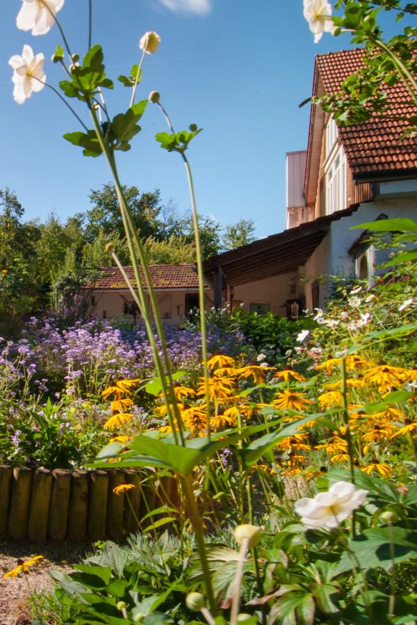 Bild 1 von 12: Der Garten ist ein Lebensraum voller Vielfalt und Überraschungen, wenn wir der Natur nur etwas Raum geben.