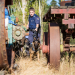 Hunde im Einsatz