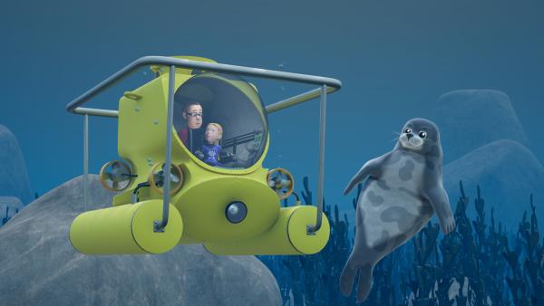 Bild 1 von 3: Hannah ist mit dem U-Boot ihres Vates auf Robben-Foto-Safari.