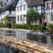 Der Rhein