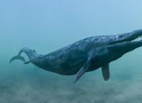 Rückkehr der Urzeit-Giganten