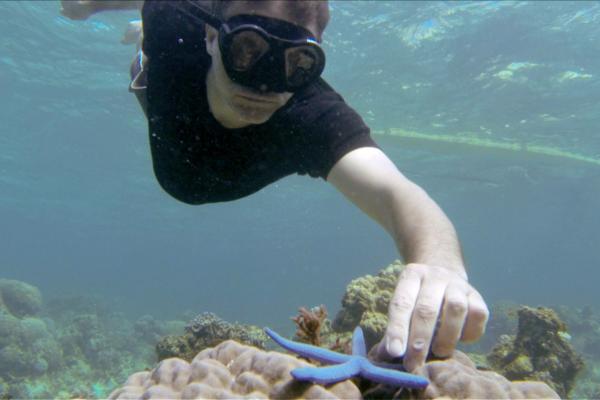 Bild 1 von 5: Zur Vervollständigung des Heilpräparats muss nach Seesternen getaucht werden.