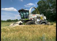 Unsere verrückte italienische Farm