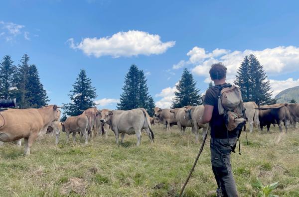Bild 1 von 3: Benoît trägt die Verantwortung für das Wohlergehen einer Herde, ist selbst aber nur Landarbeiter. Er engagiert sich in der Hirtengewerkschaft.