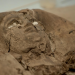 Ägyptens vergessene Pyramide