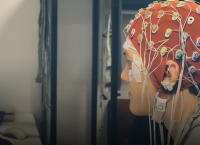 Geheimnisse des Gehirns