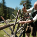 Heimat Österreich