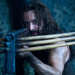 Bild 19