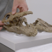 Asteroid - Der Dino-Killer aus dem All
