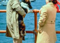 Columbo