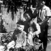 ZDF-History