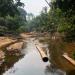 S.O.S. Amazonas