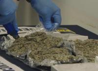 Border Patrol Südamerika: Zoll auf vier Pfoten