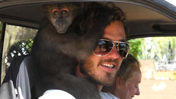 Das Waisenhaus für wilde Tiere