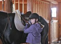 Heartland - Paradies für Pferde