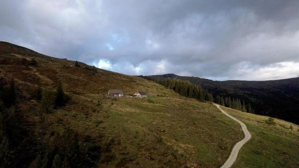 Bild 1 von 8: Im Bild: Blick auf Ladinger Alm.
