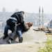 Bild 12