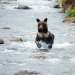 Wildes Japan - Land der tausend Inseln