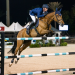 Springreiten