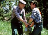 Im Schatten der Gipfel