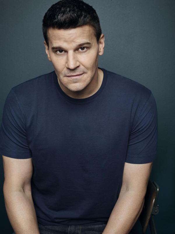 Bild 1 von 14: Seeley Booth (David Boreanaz)