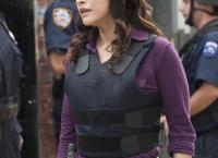 Blue Bloods - Crime Scene New York