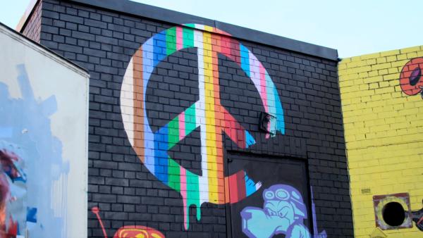 Bild 1 von 17: .