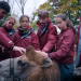 Elefant, Tiger & Kids