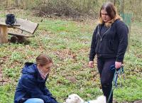 Der Hundeprofi - Rütters Team