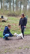 Der Hundeprofi - Rütters Team
