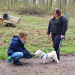 Der Hundeprofi - Rütters Team