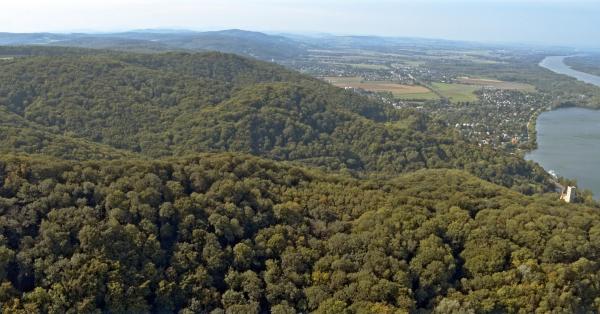 Bild 1 von 10: Im Bild: Naturschutzgebiet Wienerwald bei Greifenstein.