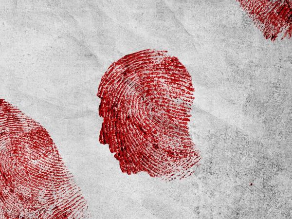 Bild 1 von 3: (1. Staffel)