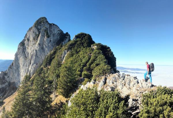 Bild 1 von 6: Im Bild: Ostgrat Traunstein.