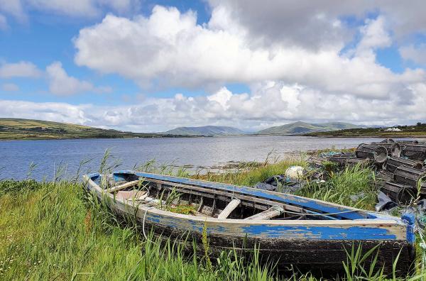 Bild 1 von 4: Auf seinem Weg zum Atlantik bildet der Fluss Shannon einige große Seen. Für manche sind die Binnengewässer Irlands zum Zuhause geworden.