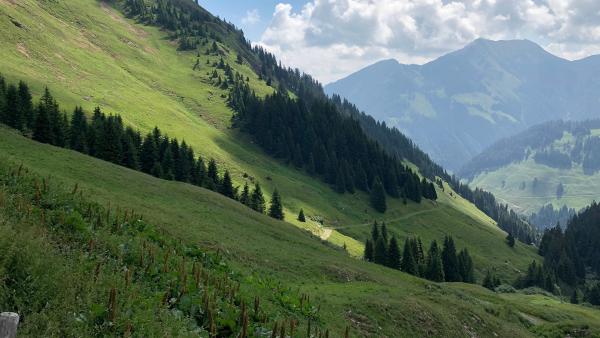 Bild 1 von 8: .