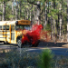Cabin Fever 2: Spring Fever