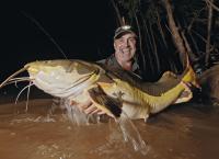 Giganten unter Wasser - Riesenfischen auf der Spur