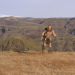 Beowulf & Grendel