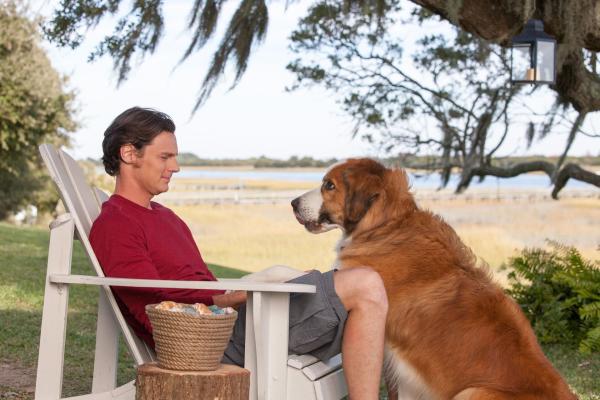 Bild 1 von 8: Travis (Benjamin Walker)