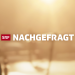 Nachgefragt