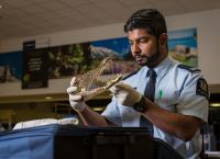 Border Patrol Neuseeland