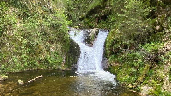 Bild 1 von 19: .