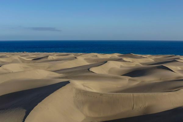 Bild 1 von 5: Die Dünenlandschaft Maspalomas erstreckt sich bis zum Meer.