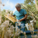 Die Bienenflüsterer