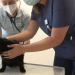 Die Tierklinik - Privatpatienten auf vier Pfoten