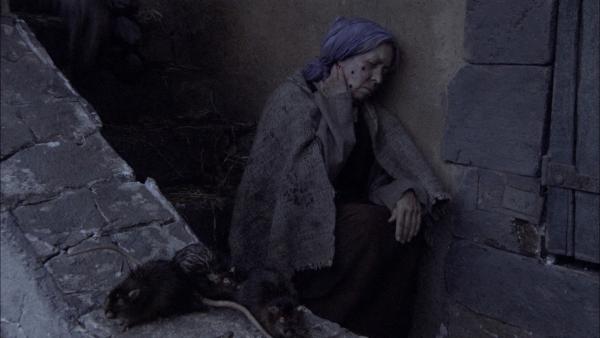 Bild 1 von 3: Die Pest fordert Millionen Opfer in Europa.