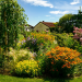 Natur im Garten